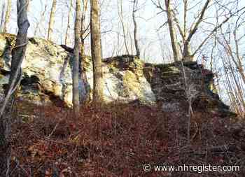 Conservation walk and talk on forest preservation set for Saturday in Middletown - New Haven Register