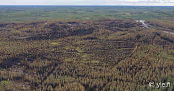 Police suspect negligence caused 230-hectare forest fire | News | Yle Uutiset - YLE News