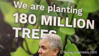 Asia’s Forest Loss Leaders Skip, Challenge Global Deforestation Pact - VOA News