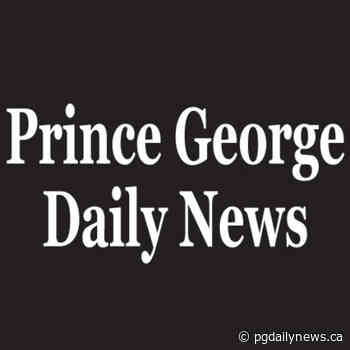 LETTER: Steidle's comments on forest investment reflect a special interest - Prince George Daily News