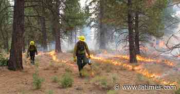 U.S. Forest Service struggles to complete prescribed burns - Los Angeles Times
