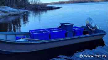 'A game-changer': Northern Sask. fishers get unexpected windfall from caviar from a fish they used to ignore