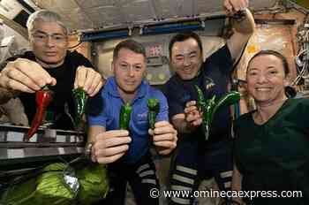 4 station astronauts catch ride with SpaceX back home - Omineca Express