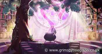 Lush have revealed the Snow Fairy in this adorable Christmas video - Grimsby Live