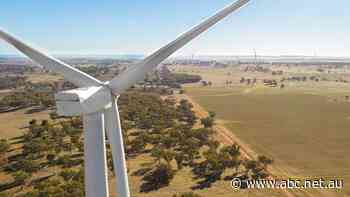 Two NSW seats under coalition control could fuel Australia's renewable energy industry