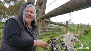 Operators hope for tourism bonanza when SA borders reopen