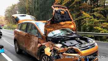 PKW kollidiert mit Hirsch - Kreis Cochem-Zell - Rhein-Zeitung