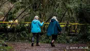 Thousands still without power in B.C. after powerful overnight windstorm