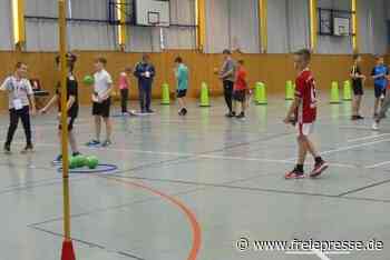 Auf flinken Beinen durch den Hindernisparcours - Freie Presse