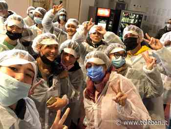 Scuola, a Bari studenti da Francia e Spagna: il progetto Erasmus + raccontato dal Giulio Cesare - Telebari