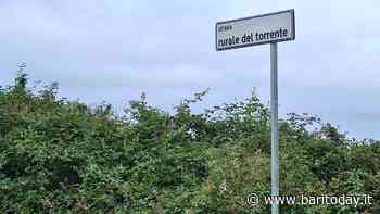 Tra il San Paolo e Fesca c'è una via di cui non si conosce l'esatta proprietà: è strada rurale del torrente - BariToday