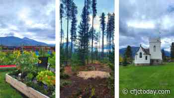 BLOG: The drive from Kamloops to Jasper and everything in between - CFJC Today Kamloops