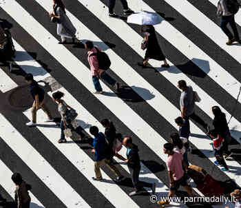 All'Università di Parma la rassegna “Cosa dicono oggi gli antropologi 2021: Oltre natura e cultura” - - ParmaDaily.it