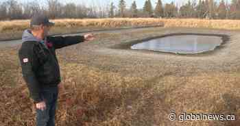 Saskatchewan farmers hoping for wet winter after drought-ravaged summer