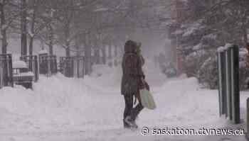 Central Sask. expected to get first snowfall of the season: Environment Canada