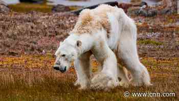 How photography and storytelling can turn apathy into climate action
