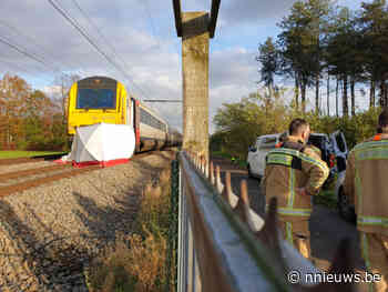 Fietsster (77) gegrepen door trein : treinverkeer onderbroken tussen Nijlen-Herentals - update - Nnieuws.be