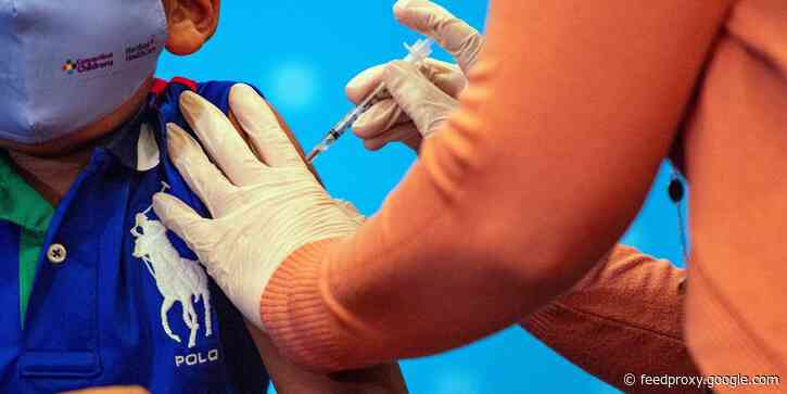 Pfizer CEO calls people who spread misinformation on COVID-19 vaccines 'criminals because they have literally cost millions of lives'