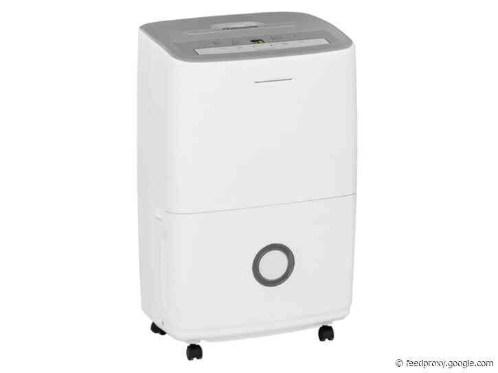The 7 best dehumidifiers to keep any room comfortable in 2021