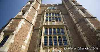 Bari Weiss Announces Bad SEO University - Gawker