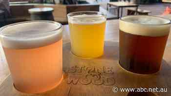 Lion takeover of Stone & Wood would 'free up' taps for independent brewers, ACCC says