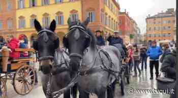 PARADRIVING 2021, PARTITO IL CORTEO CHE DA MODENA PORTA A VERONA - Tvqui