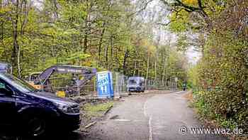 Parkdruck am Baldeneysee: Stadt Essen streicht Parkplätze - WAZ News