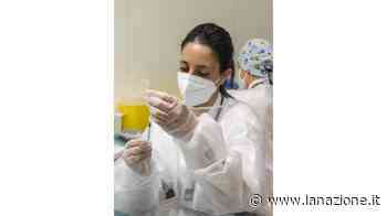 Contagi, Prato è la migliore della Toscana - LA NAZIONE