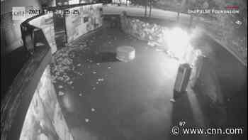 Vandal caught on camera setting fire to Pulse shooting memorial