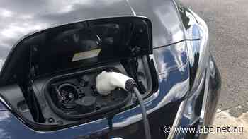 Electric vehicle owners urge more government support and for EV-hesitant to test drive