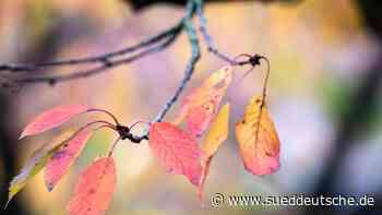 Sonniges Herbstwetter in Nordrhein-Westfalen - Süddeutsche Zeitung