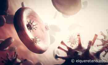 Nuevamente Querétaro reporta municipios libres de activos de Covid-19 - El Queretano