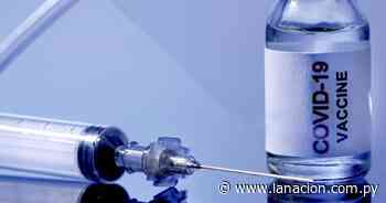 Libres y vacunados - La Nación.com.py