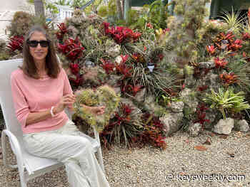 AIR PLANTS : UPPER KEYS GARDENER EXPLAINS HIS PASSION - Florida Keys Weekly