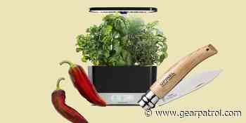 6 Great Gifts to Give the Gardener in Your Life - gearpatrol.com