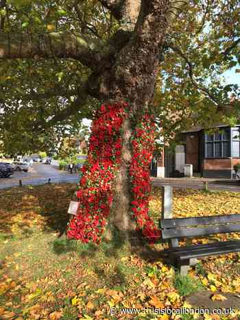 Remembrance Day events taking place in Epping