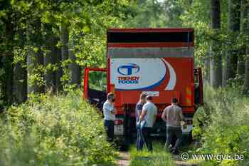 Kerel steelt voor 265.000 euro aan sigaretten: 30 maanden ef... (Bornem) - Gazet van Antwerpen