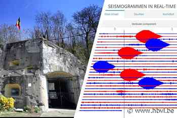 KMI vindt nog meer bizarre 'walvissen' - Het Belang van Limburg