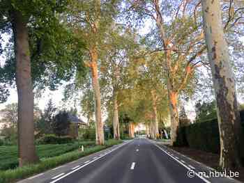 Riemst wil meer trajectcontroles op haar gewestwegen - Het Belang van Limburg