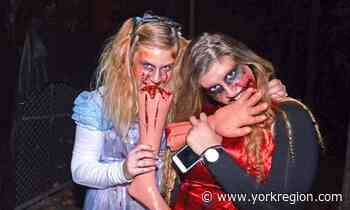 Are you brave or a Halloweenie? Test your courage at Aurora's Haunted Greenhouse — if you dare - yorkregion.com