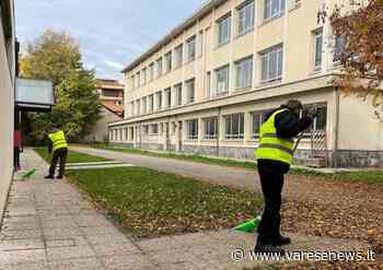 A Gallarate chi prende il reddito di cittadinanza si prende cura del verde e della biblioteca - varesenews.it
