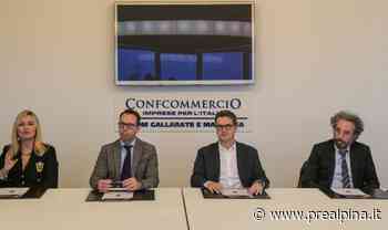 Gallarate: il commercio in abito da sera - La Prealpina