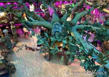 Al Cinelandia Gallarate stanno rinnovando tutti gli spazi interni - varesenews.it