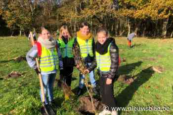 Lilse schoolkinderen planten 1.350 nieuwe bomen