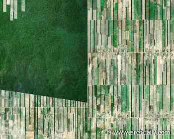 Rural Landscapes: How Food Production Shapes the Land - ArchDaily