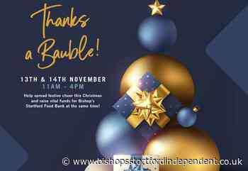 Charity tree decorations spread spirit of Christmas - Bishop's Stortford Independent
