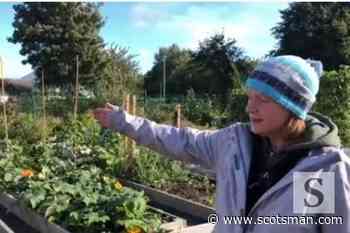 COP26: Film Access Scotland 1.5 degrees featured video - Community Food Growing in Wester Hailes - The Scotsman