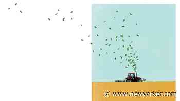 The Great Organic-Food Fraud - The New Yorker