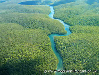 Food manufacturers must invest in innovative agriculture to meet COP26’s deforestation goal