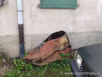 L'opera di Sara Lovari “abbandonata”, le precisazioni del sindaco Toni - Casentinopiù